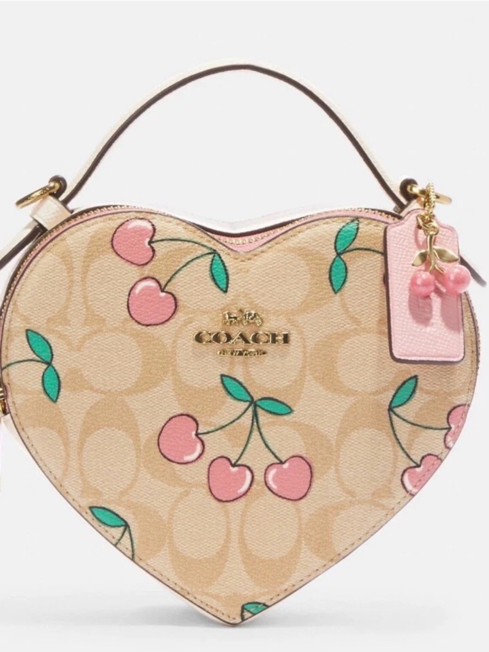 Coach Heart Crossbody Bag In Signature Canvas With Heart Cherry Print
